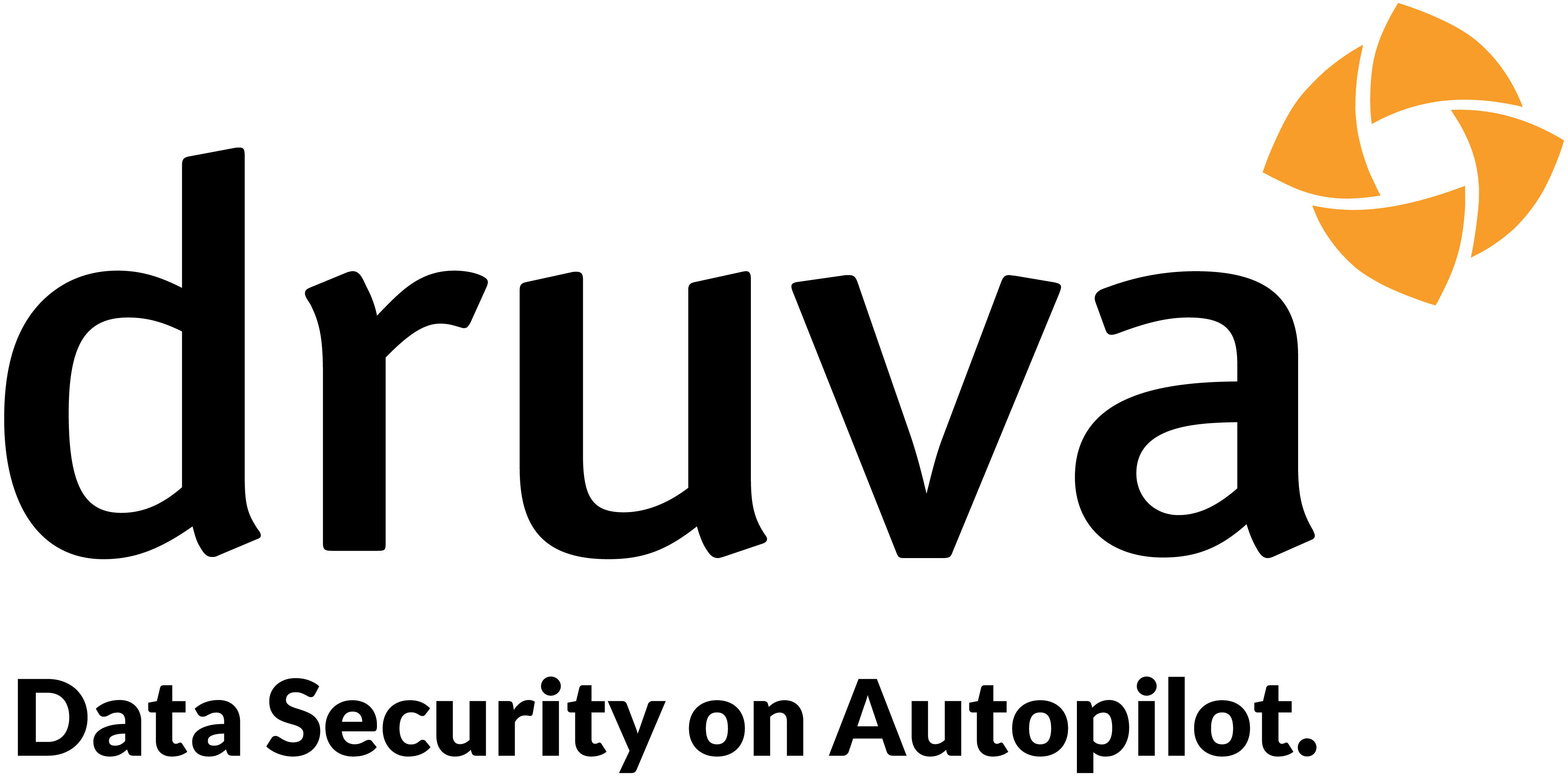 Logo Druva